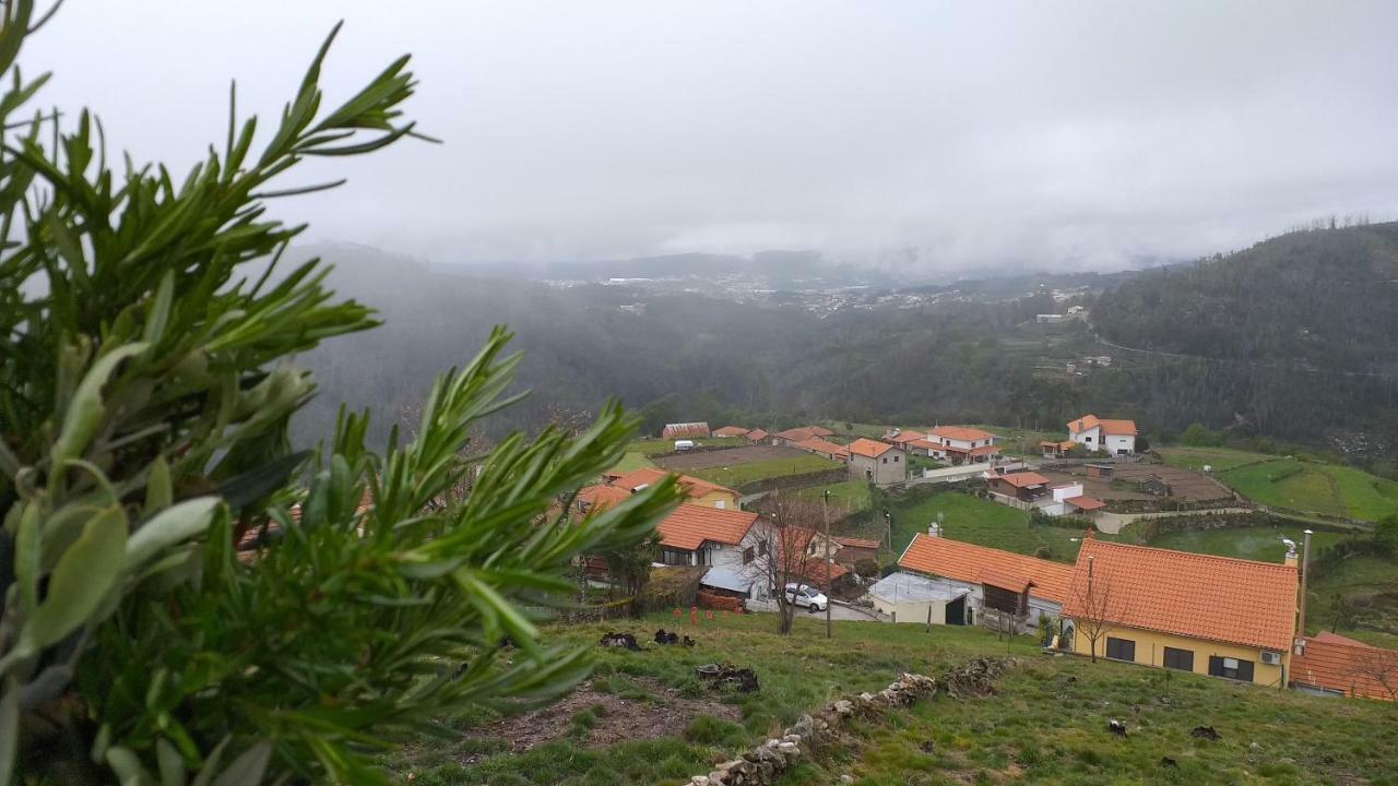 Willa Casa Da Boa Vista Em Viadal Vale de Cambra Zewnętrze zdjęcie