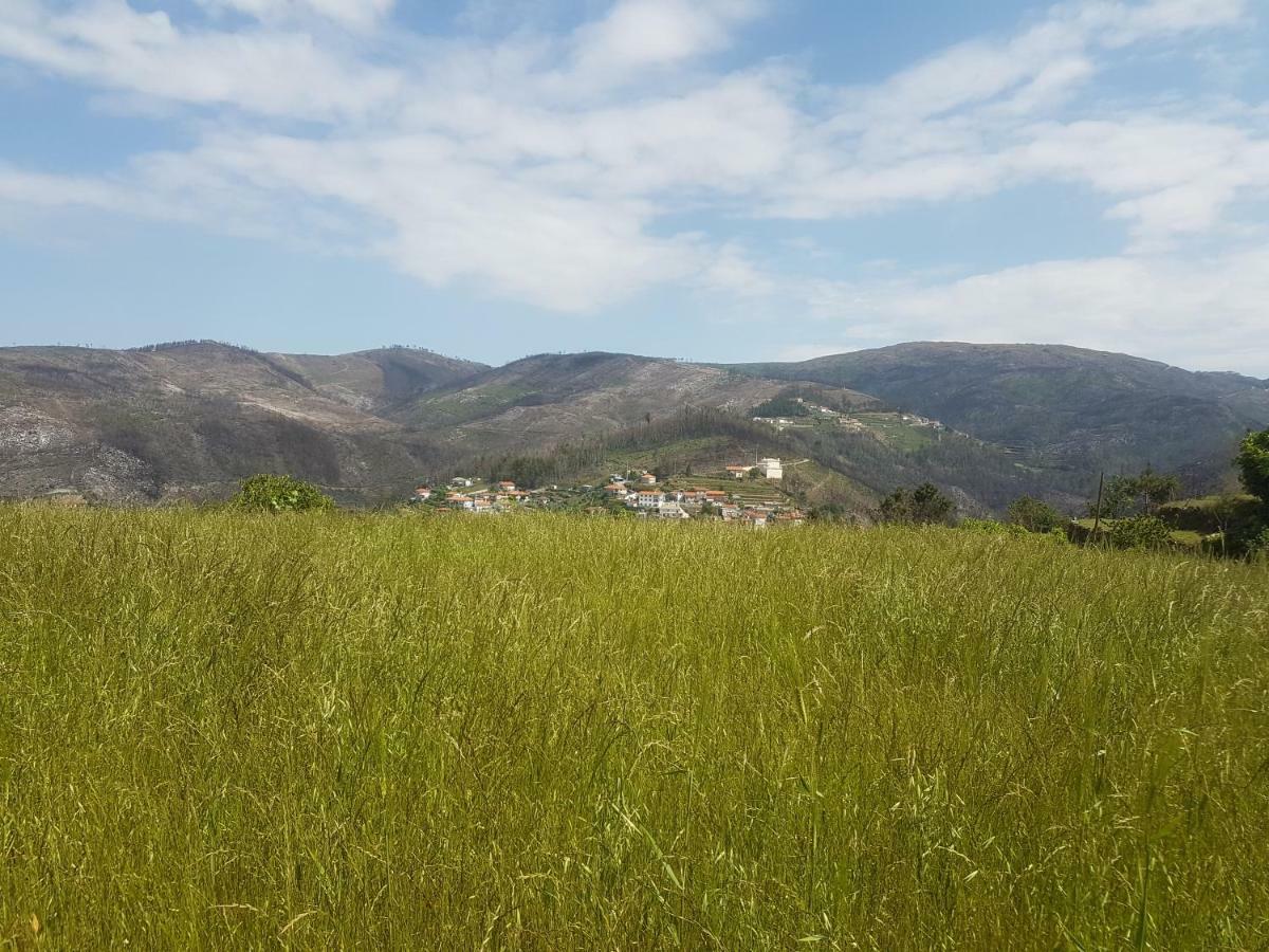 Willa Casa Da Boa Vista Em Viadal Vale de Cambra Zewnętrze zdjęcie